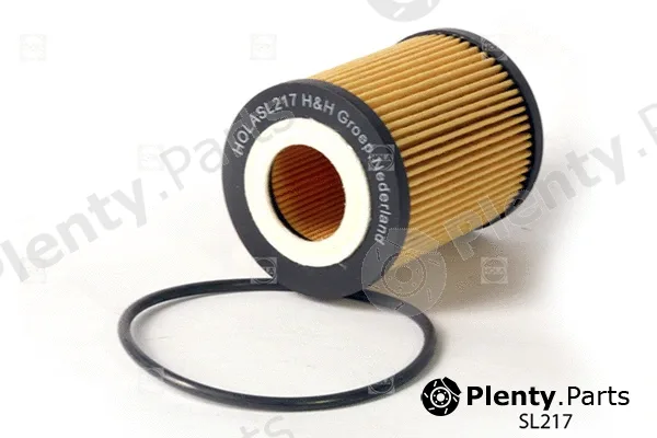 Hola SL217 — Oil Filter