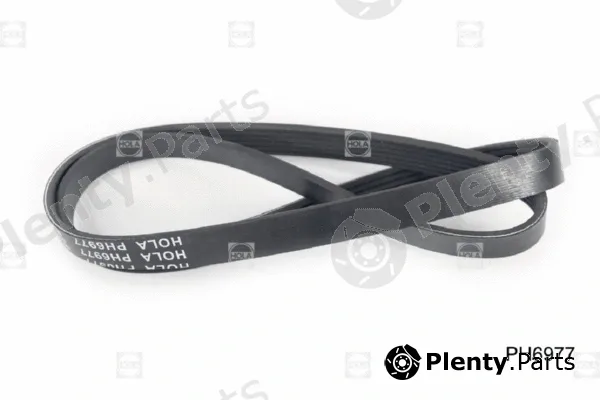 Hola PH6977 — V-Ribbed Belt