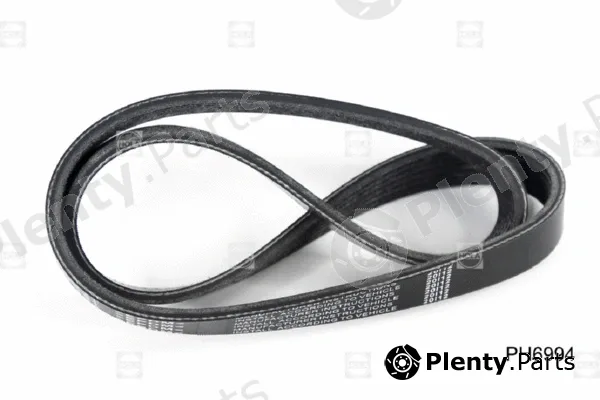 Hola PH6994 — V-Ribbed Belt