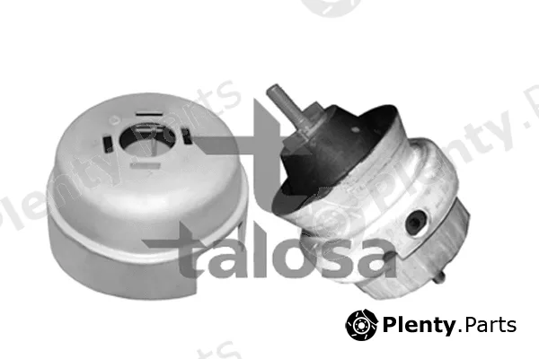 Talosa 61-06580 — Mounting, engine