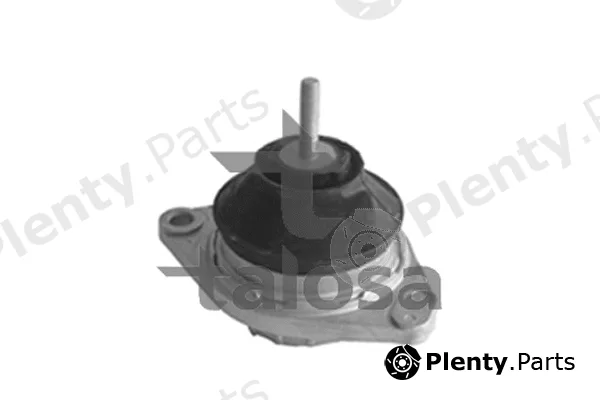 Talosa 61-06586 — Mounting, engine