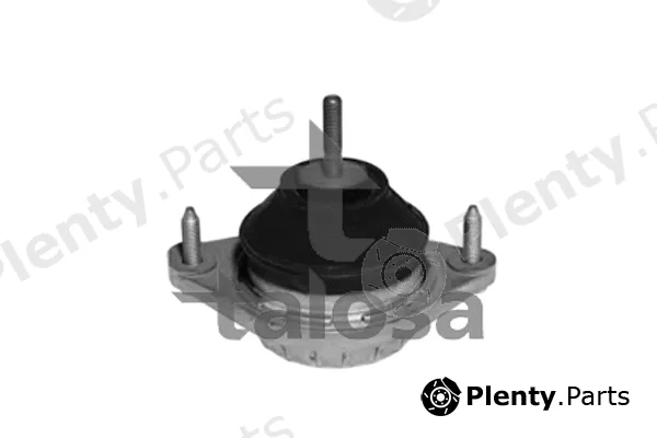 Talosa 61-06585 — Mounting, engine