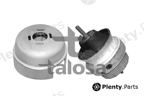 Talosa 61-06581 — Mounting, engine