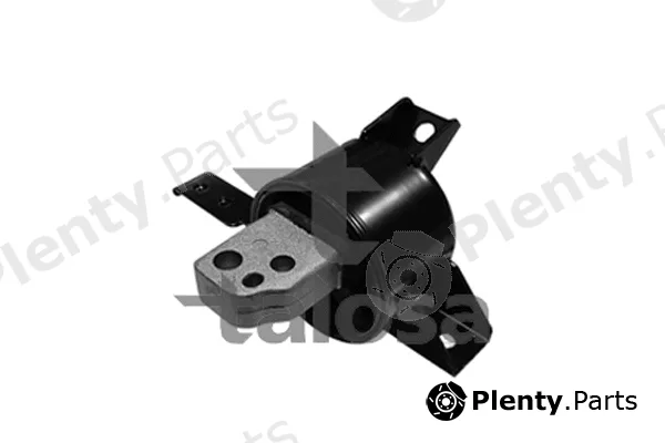 Talosa 61-06844 — Mounting, engine