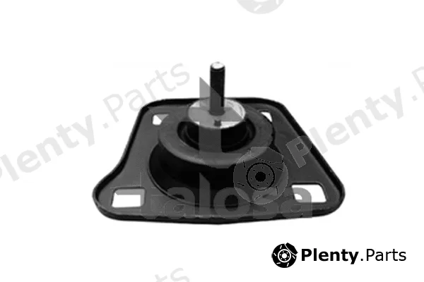 Talosa 61-06691 — Mounting, engine