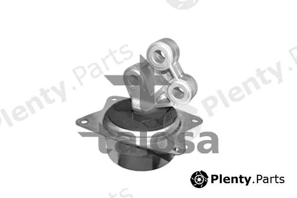 Talosa 61-06971 — Mounting, engine