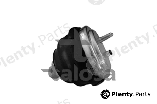 Talosa 61-06632 — Mounting, engine