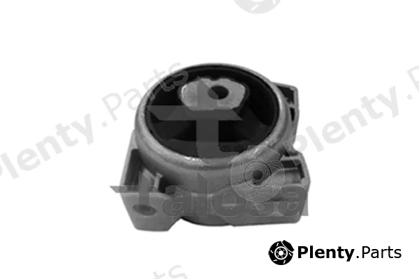 Talosa 61-06866 — Mounting, engine