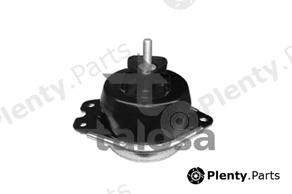 Talosa 61-05196 — Mounting, engine