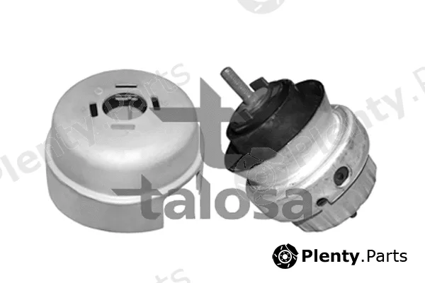 Talosa 61-06579 — Mounting, engine