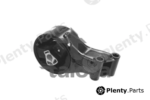Talosa 61-06995 — Mounting, engine