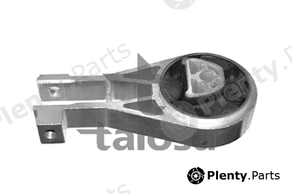 Talosa 61-06989 — Mounting, engine