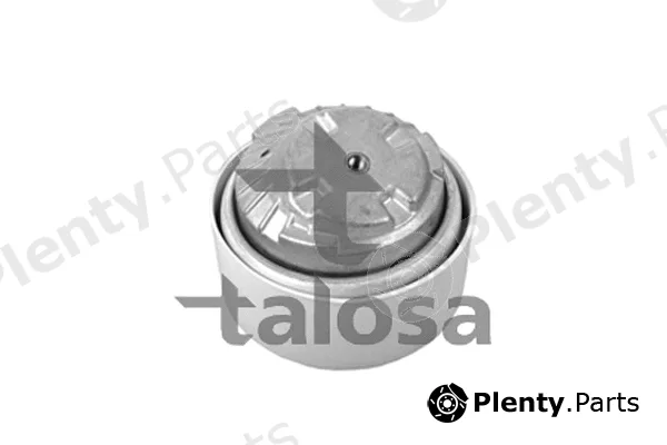 Talosa 61-06869 — Mounting, engine