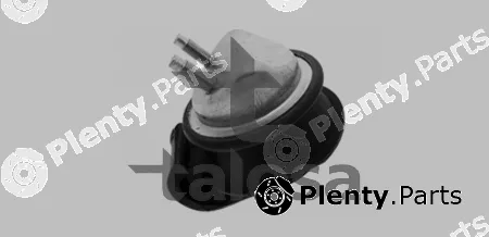 Talosa 61-15541 — Mounting, engine