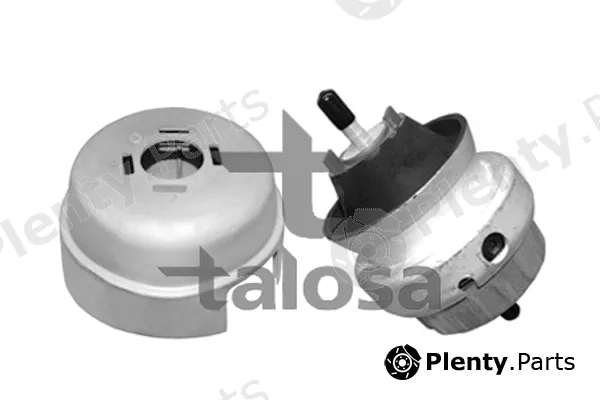 Talosa 61-06583 — Mounting, engine