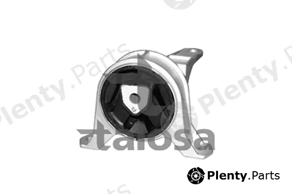 Talosa 61-06909 — Mounting, engine