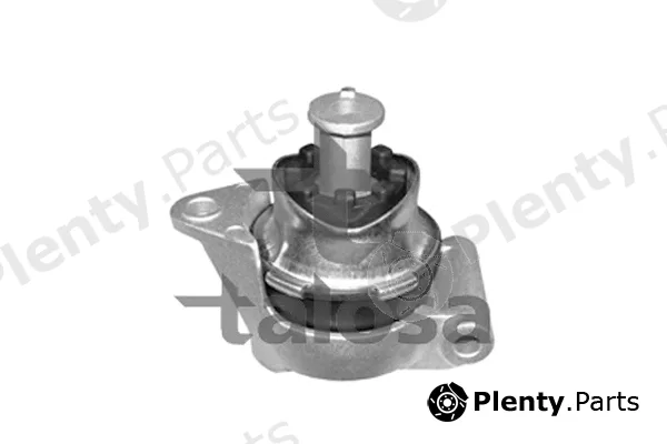 Talosa 61-06923 — Mounting, engine