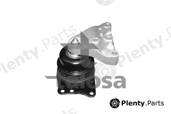 Talosa 61-05320 — Mounting, engine