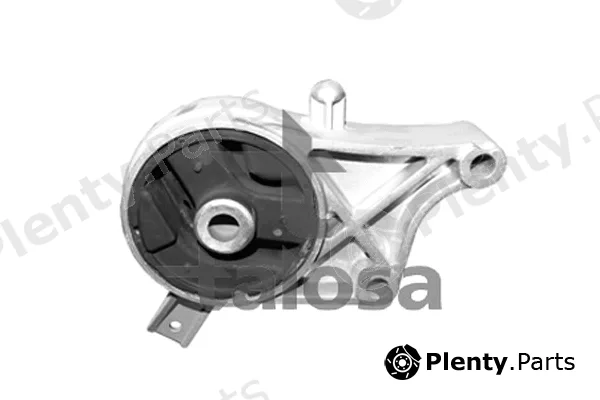 Talosa 61-06975 — Mounting, engine