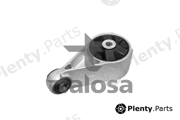 Talosa 61-06894 — Mounting, engine
