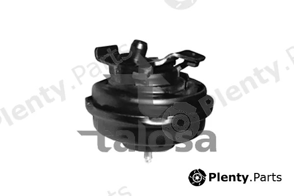 Talosa 61-05306 — Mounting, engine