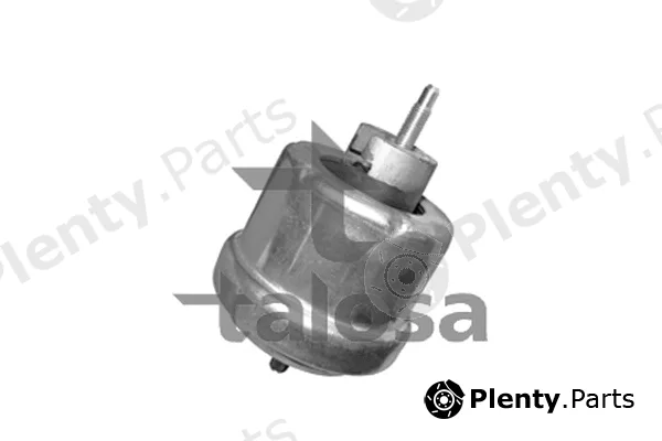 Talosa 61-06974 — Mounting, engine