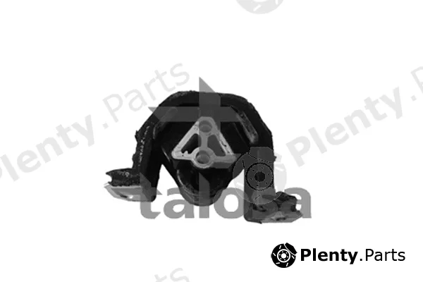 Talosa 61-06959 — Mounting, engine