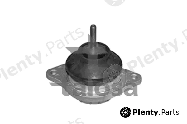 Talosa 61-06575 — Mounting, engine