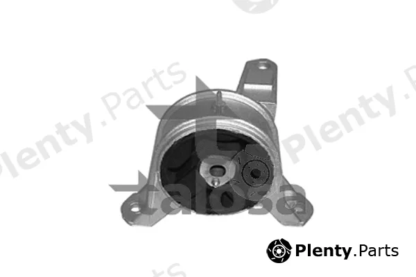 Talosa 61-06910 — Mounting, engine