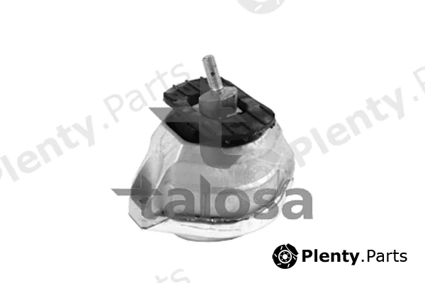 Talosa 61-09441 — Mounting, engine