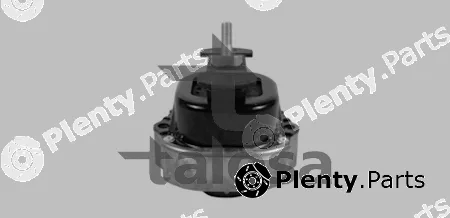 Talosa 61-15781 — Mounting, engine