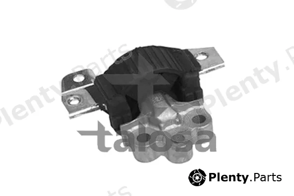 Talosa 61-06795 — Mounting, engine
