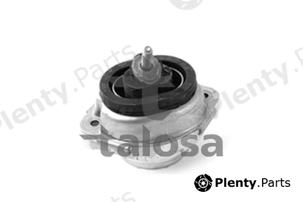 Talosa 61-06637 — Mounting, engine
