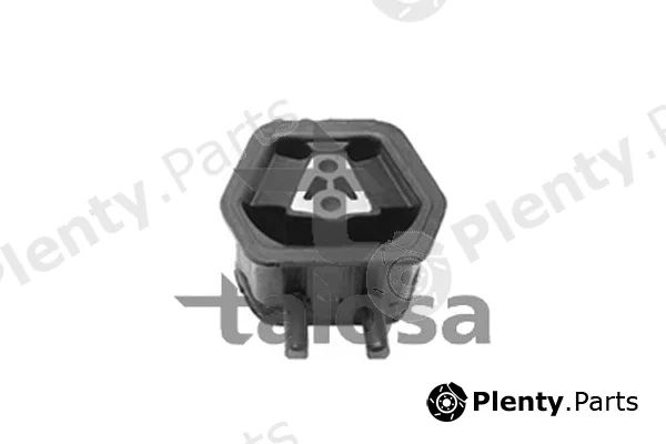 Talosa 61-06900 — Mounting, engine
