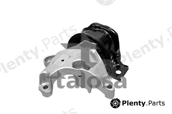 Talosa 61-12700 — Mounting, engine