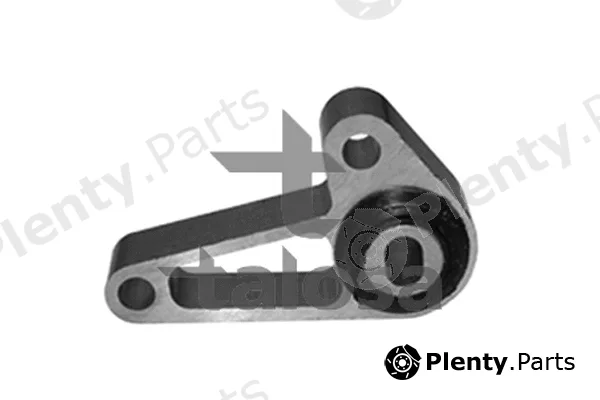 Talosa 61-06794 — Mounting, engine