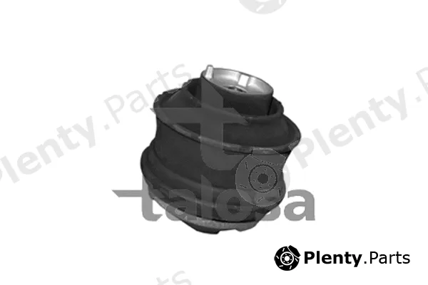Talosa 61-06859 — Mounting, engine