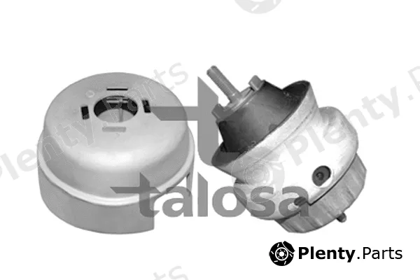 Talosa 61-06582 — Mounting, engine