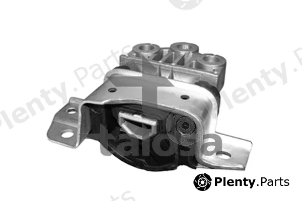 Talosa 61-06766 — Mounting, engine