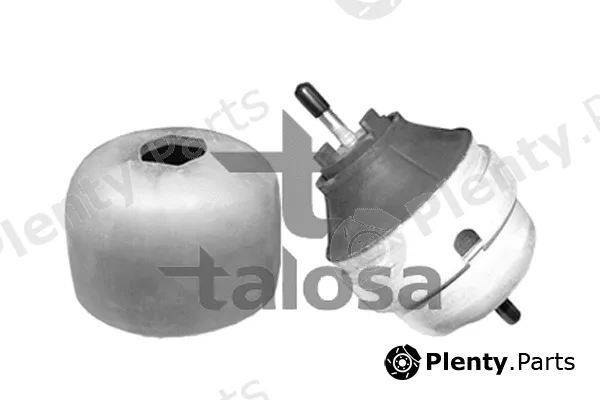 Talosa 61-05308 — Mounting, engine
