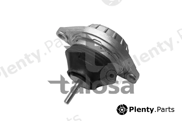 Talosa 61-06573 — Mounting, engine