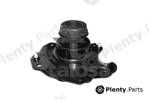 Talosa 61-05324 — Mounting, engine