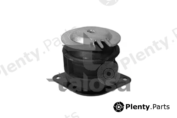 Talosa 61-05339 — Mounting, engine