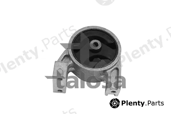 Talosa 61-06843 — Mounting, engine