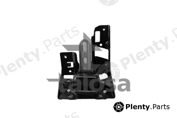 Talosa 61-13431 — Mounting, engine