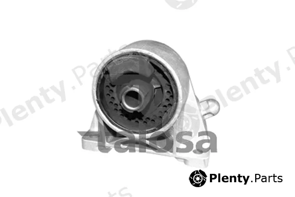 Talosa 61-06913 — Mounting, engine
