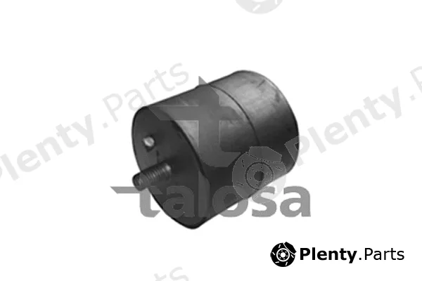 Talosa 61-06630 — Mounting, engine