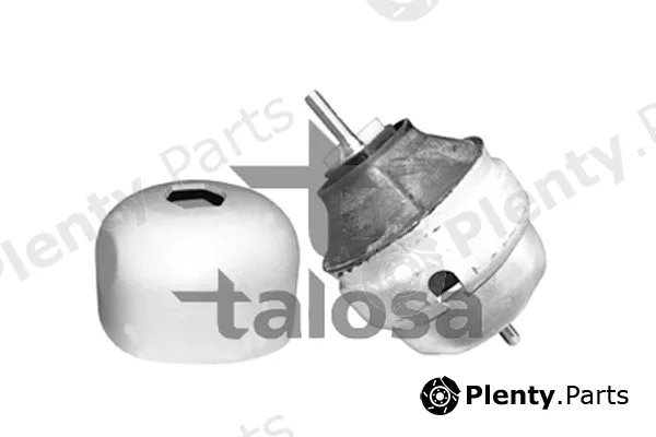 Talosa 61-05307 — Mounting, engine