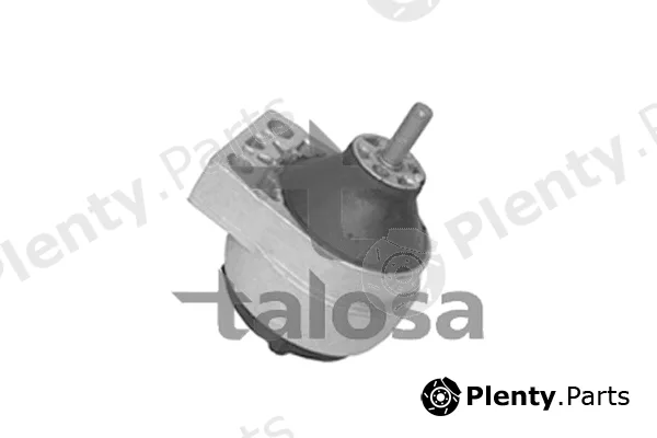 Talosa 61-06672 — Mounting, engine