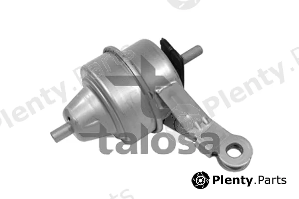Talosa 61-06246 — Mounting, engine
